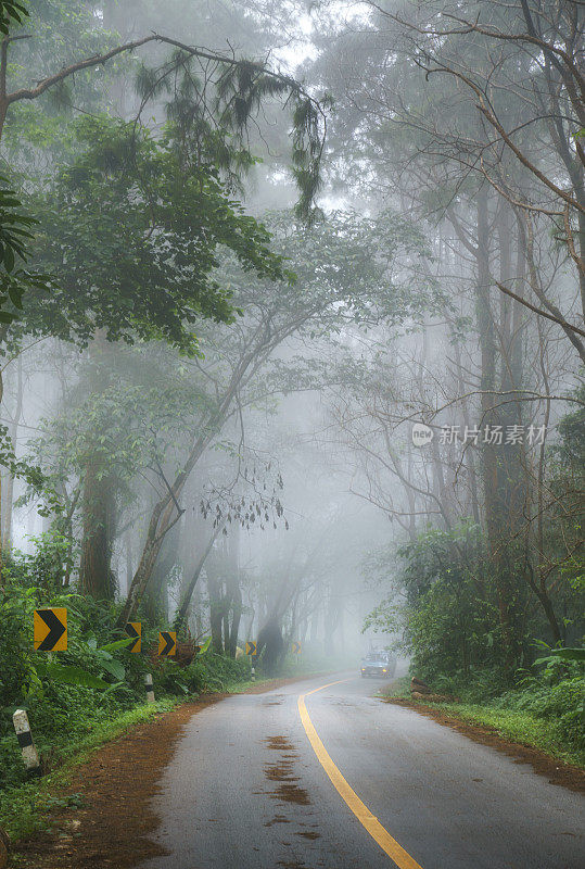 美丽的早晨道路在雾在Doi Pha Hee，清莱，泰国